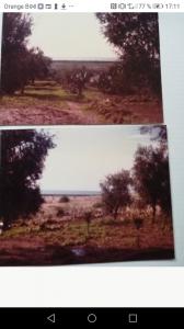 Vente Terrain HERSELT 2230