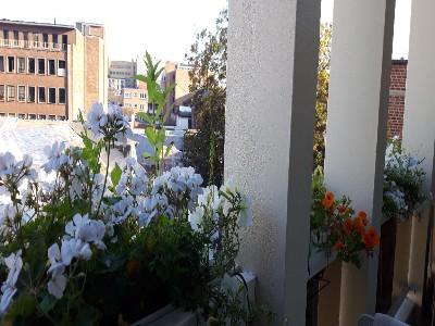 Location Appartement LIEGE centre ville WLG en Belgique