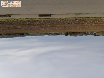 Annonce Vente Terrain Hotton