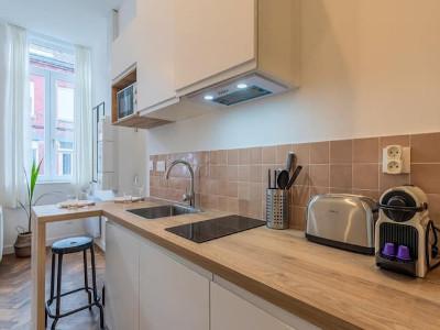 Louer Appartement 40 m2 Anvers