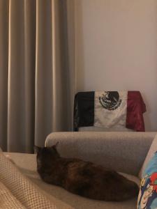  Appartement Bruxelles r�gion Bruxelles Capitale