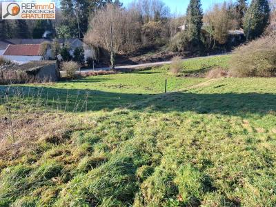 Annonce Vente Terrain Autreppe