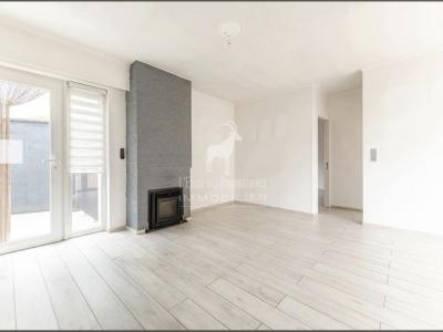 Louer Maison Haine-saint-paul r�gion Hainaut