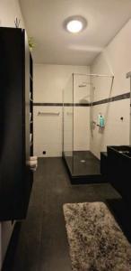 Annonce Location Appartement Anvers
