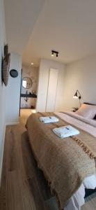 Annonce Location Appartement Bruxelles